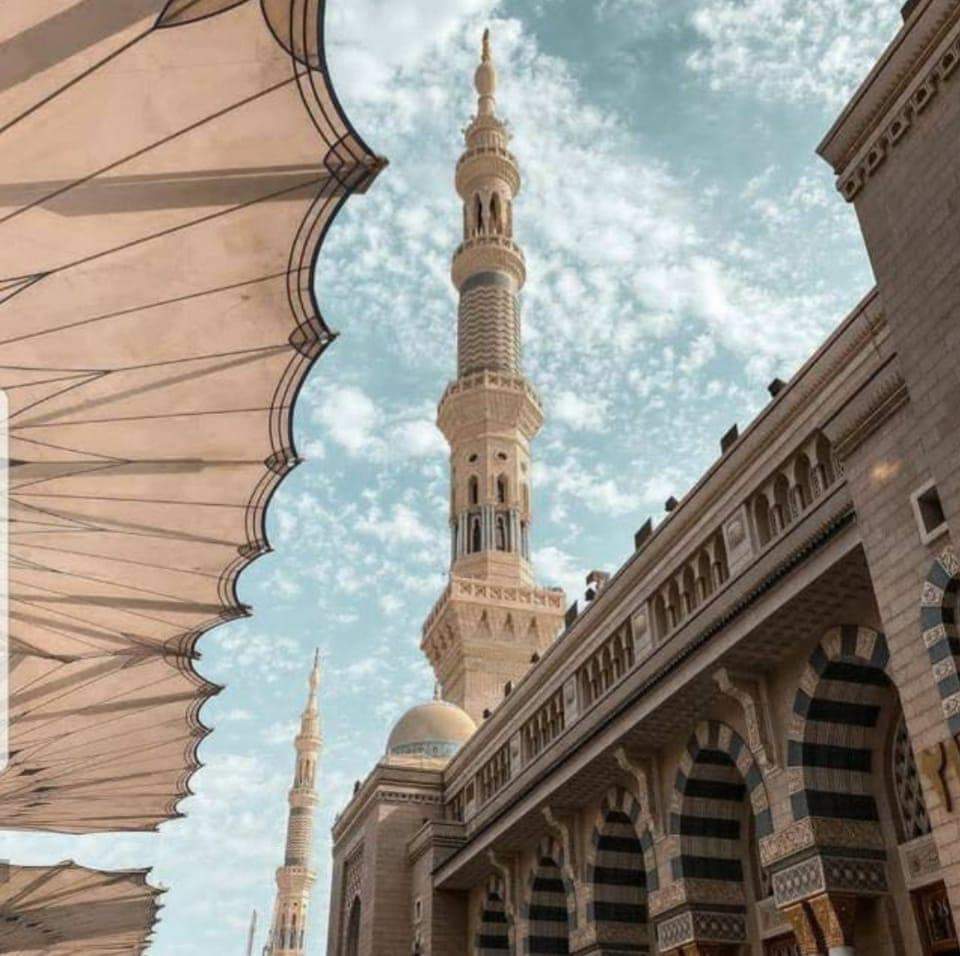 سمية هاشم المحلاوي